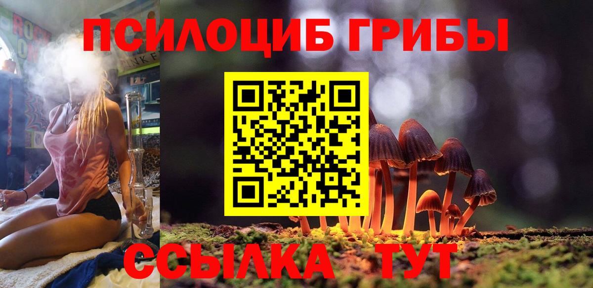Сальск  Галлюциногенные грибы Magic Shrooms  Галлюциногенные грибы Magic Shrooms  Вход с VPN 